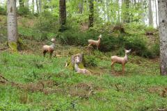 IMG-20250424-WA0012