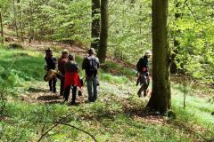 IMG-20250427-WA0005
