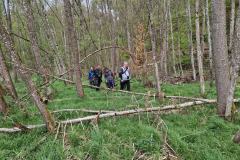 IMG-20250427-WA0018