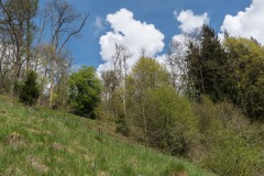 Umlachtalturnier-2023_053