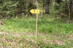 Umlachtalturnier-2023_260
