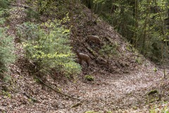 Umlachtalturnier-2023_292